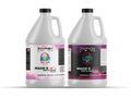 Mach 5 - 100% Solids Epoxy - FAST CURE image 0